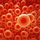 How Do I Increase My Hemoglobin Levels?